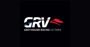 Greybound Racing Victoria